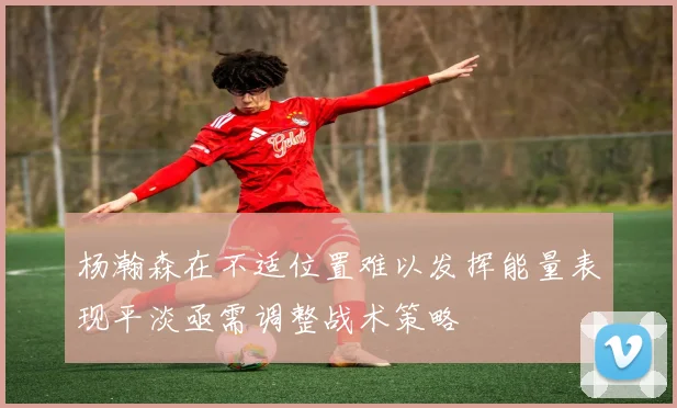 杨瀚森在不适位置难以发挥能量表现平淡亟需调整战术策略